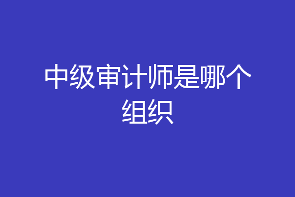 中级审计师是哪个组织