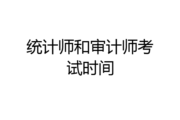 统计师和审计师考试时间
