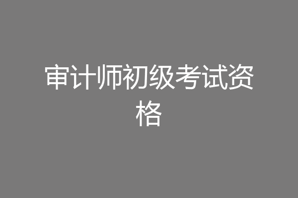审计师初级考试资格