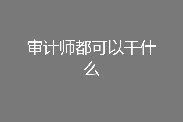 审计师都可以干什么
