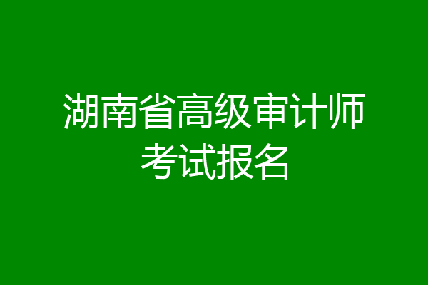 湖南省高级审计师考试报名