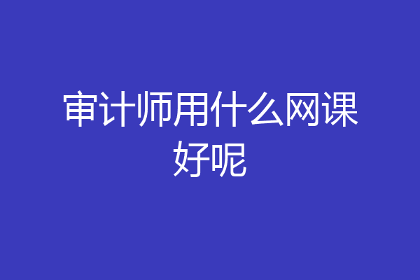 审计师用什么网课好呢