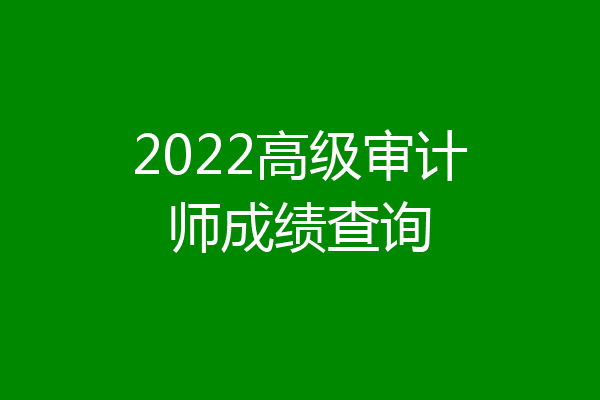 2022高级审计师成绩查询