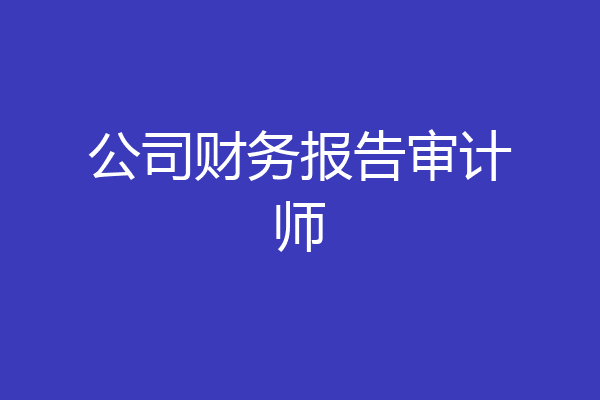 公司财务报告审计师
