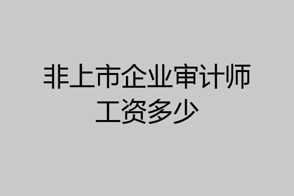 非上市企业审计师工资多少