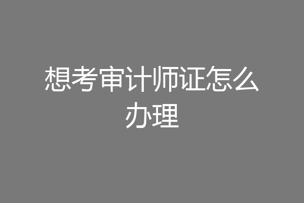 想考审计师证怎么办理