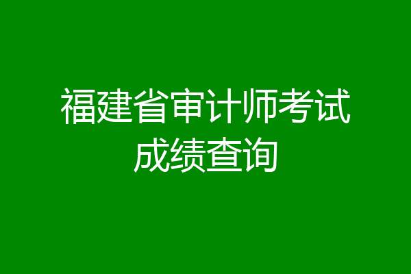 福建省审计师考试成绩查询