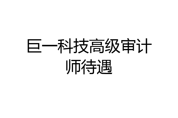 巨一科技高级审计师待遇