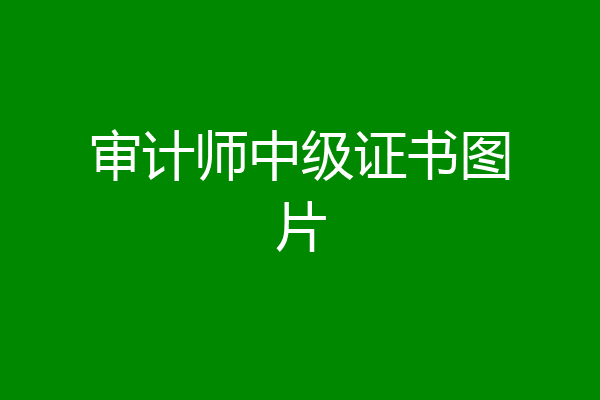 审计师中级证书图片