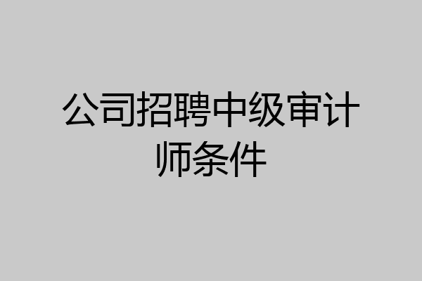 公司招聘中级审计师条件
