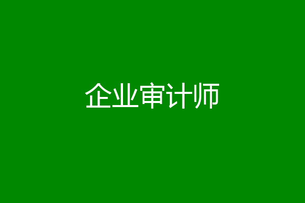 企业审计师