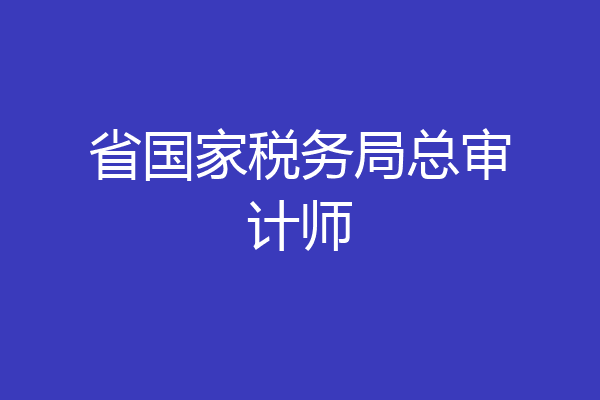 省国家税务局总审计师