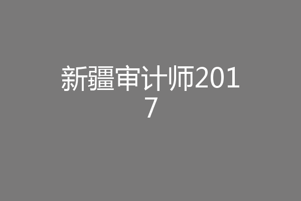 新疆审计师2017