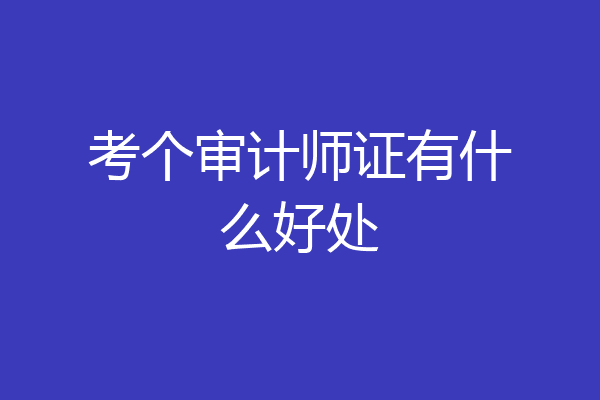 考个审计师证有什么好处
