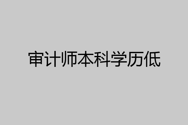 审计师本科学历低