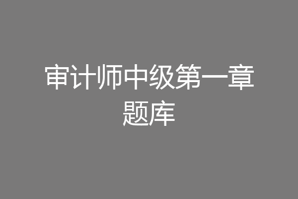 审计师中级第一章题库