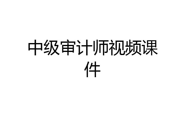 中级审计师视频课件
