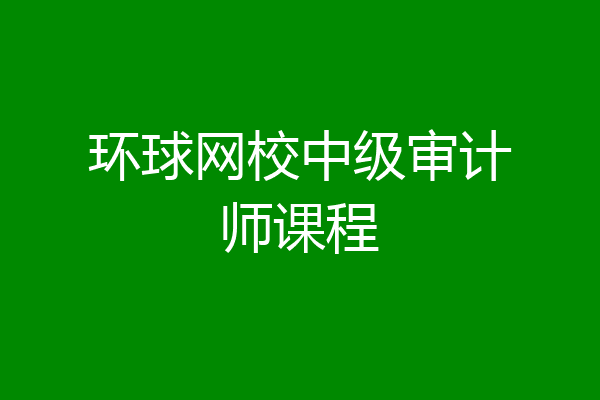 环球网校中级审计师课程
