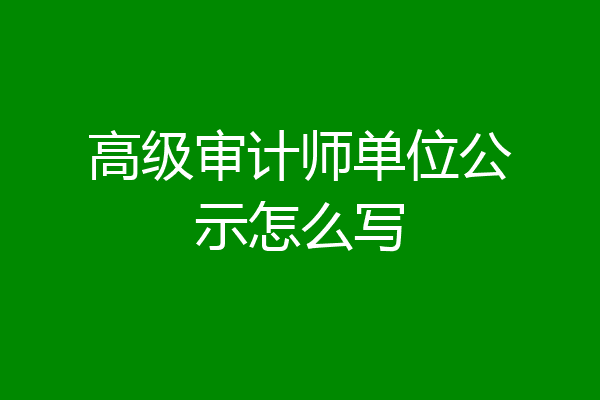 高级审计师单位公示怎么写