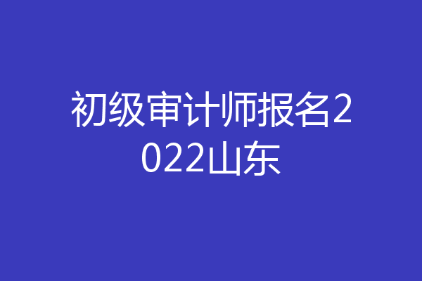 初级审计师报名2022山东