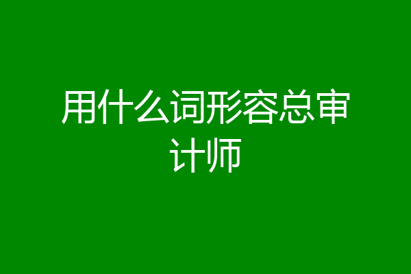 用什么词形容总审计师