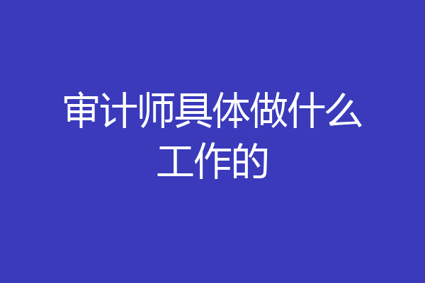 审计师具体做什么工作的
