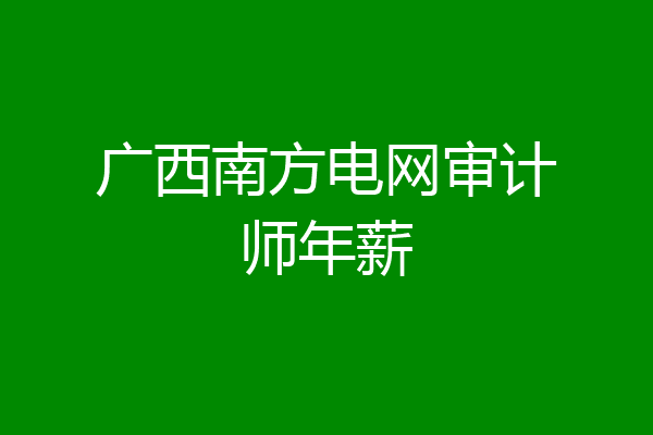 广西南方电网审计师年薪