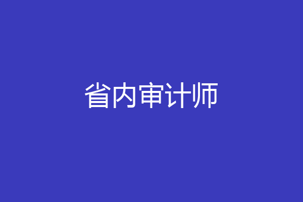 省内审计师