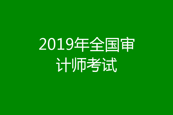 2019年全国审计师考试