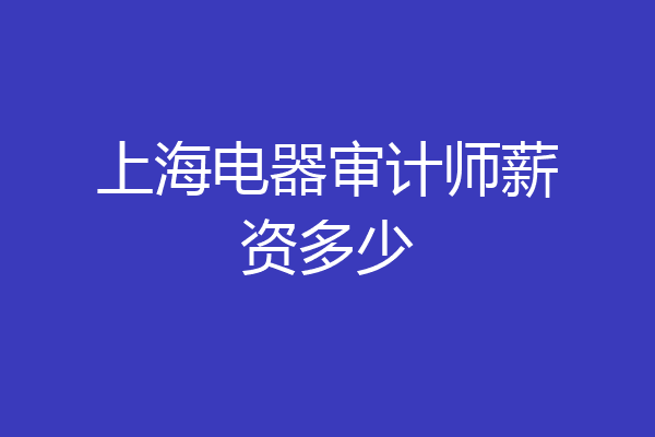 上海电器审计师薪资多少