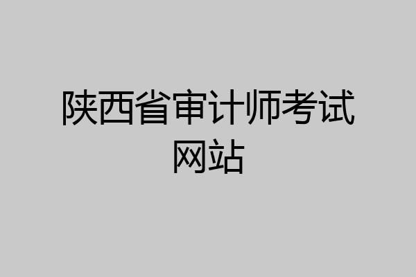 陕西省审计师考试网站