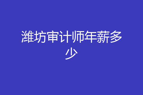潍坊审计师年薪多少