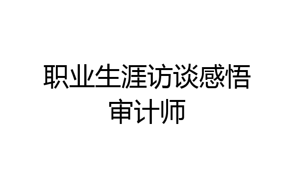 职业生涯访谈感悟审计师