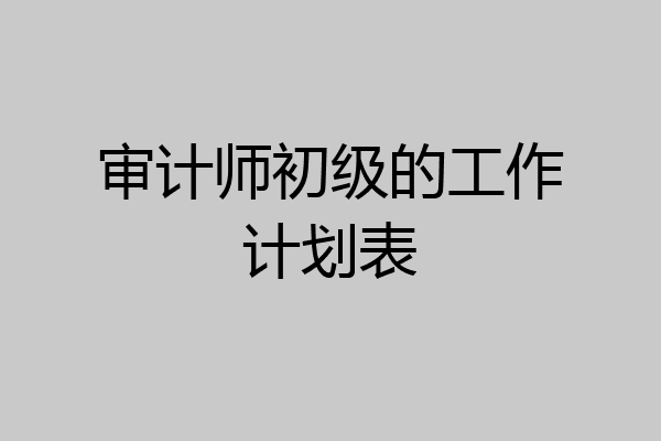 审计师初级的工作计划表