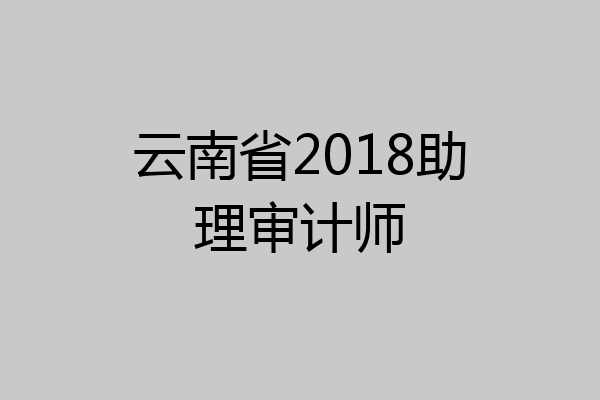 云南省2018助理审计师
