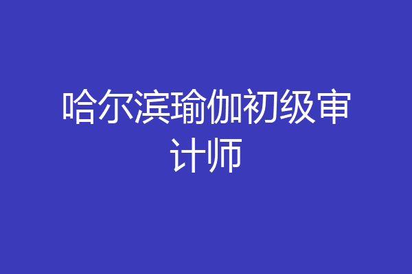 哈尔滨瑜伽初级审计师