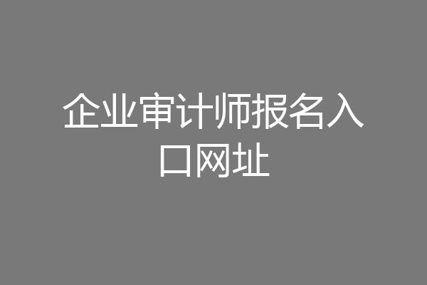企业审计师报名入口网址