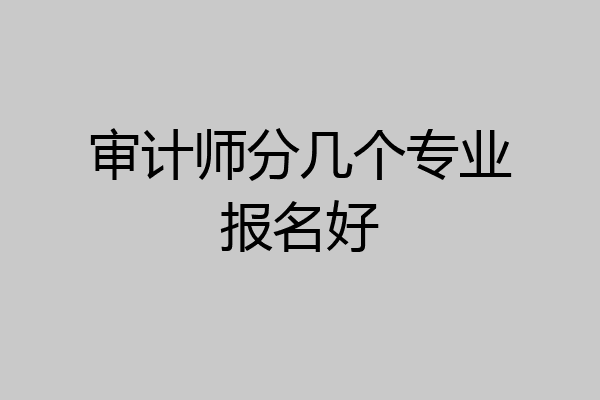 审计师分几个专业报名好