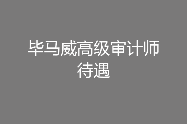 毕马威高级审计师待遇