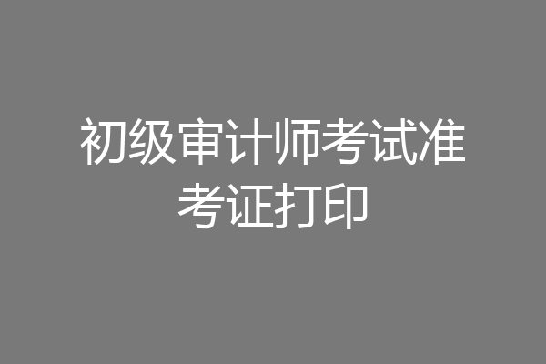 初级审计师考试准考证打印