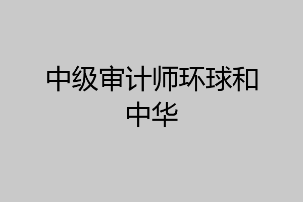 中级审计师环球和中华