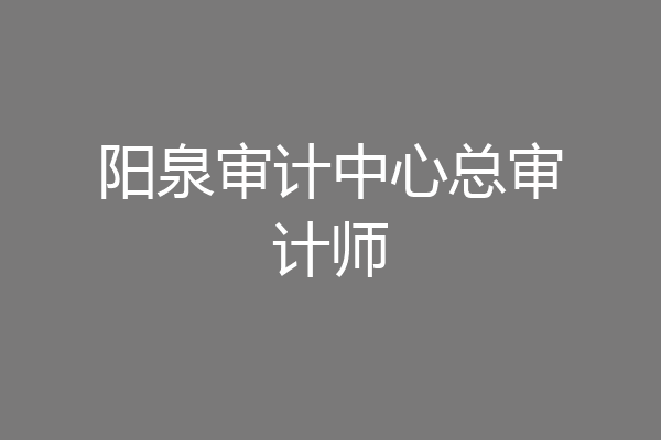 阳泉审计中心总审计师