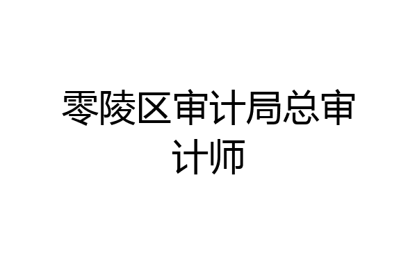 零陵区审计局总审计师