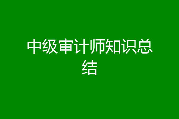 中级审计师知识总结