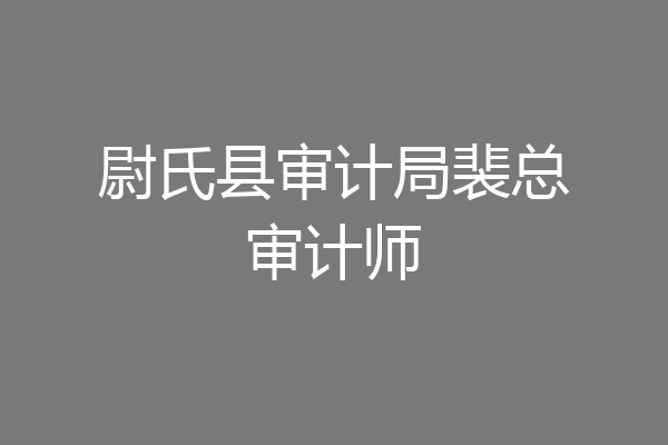 尉氏县审计局裴总审计师