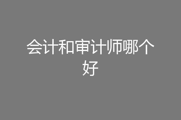 会计和审计师哪个好