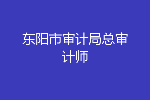 东阳市审计局总审计师