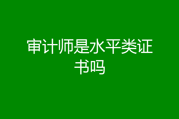 审计师是水平类证书吗