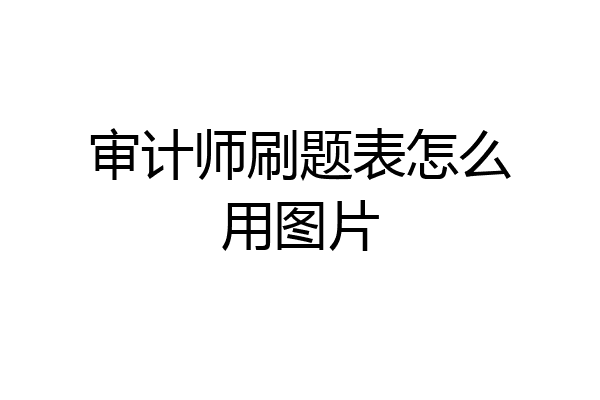 审计师刷题表怎么用图片