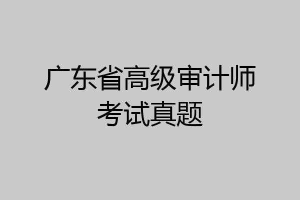 广东省高级审计师考试真题